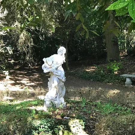 La Part Des Anges 3*