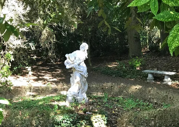 La Part Des Anges 3*